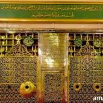 تری محبت مری عبادت
