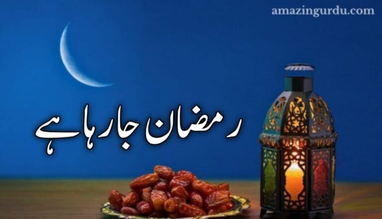 یہ وقت کی ندا ہے رمضان جا رہا ہے | اختتام رمضان پر شاعری |Ramzan Poetry