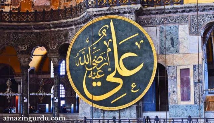 شجاعت کا پیکر ہیں میرے علی