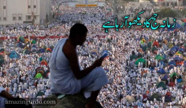 زمانہ حج کا دیکھو آ رہا ہے | حج پر اشعار