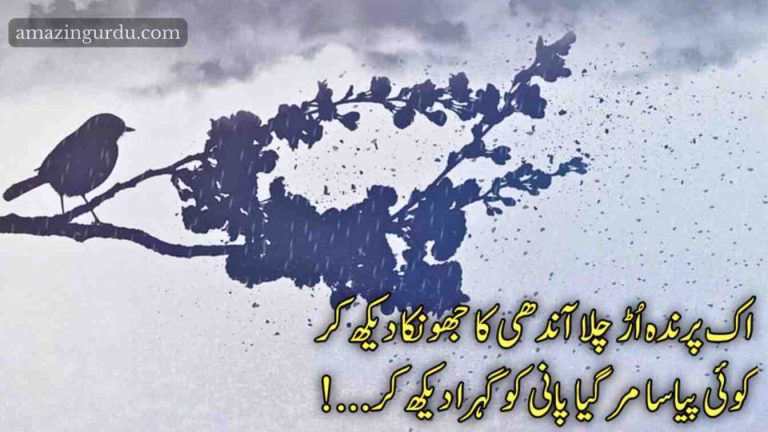 اک پرندہ اُڑ چلا آندھی کا جھونکا دیکھ کر | اداس شاعری