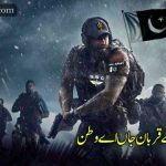 تیرے بیٹے ترے پاسباں اے وطن | پاک فوج کی بہادری پر اشعار