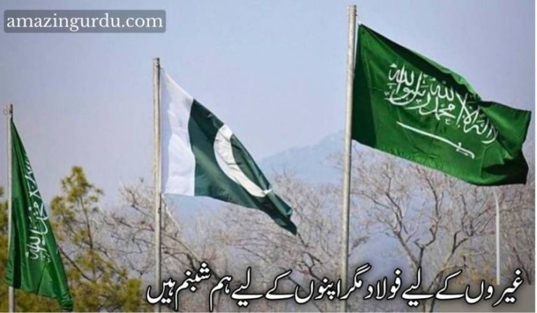 توحید کے ہم ہیں رکھوالے اور پاک حرم کے خادم ہیں