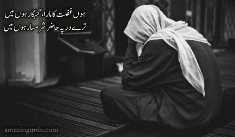 ہوں غفلت کا مارا، گنہگار ہوں میں