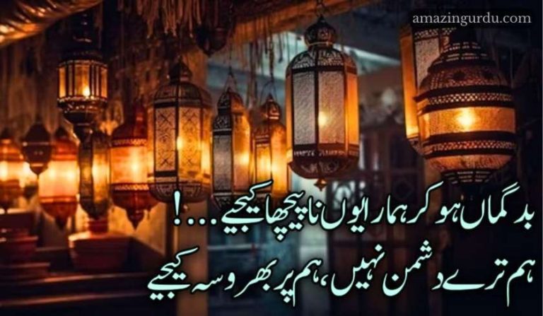 بدگماں ہوکر ہمارا یوں نا پیچھا کیجیے