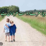 اے مرے یار مرے دوست مرا مان ہے تو | دوستی پر شاعری