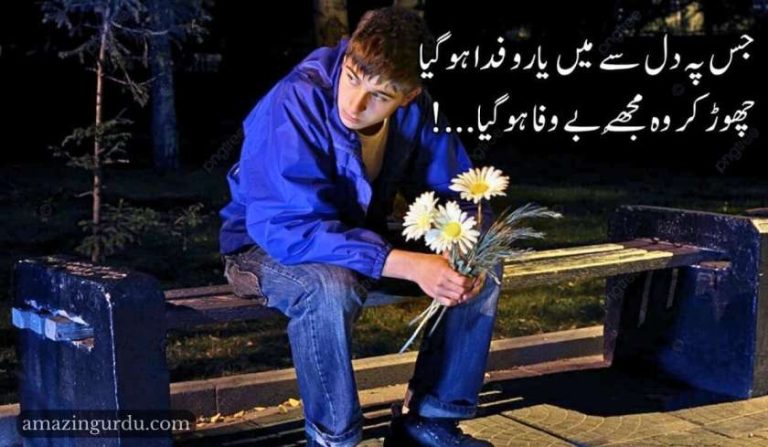 جس پہ دل سے میں یارو فدا ہوگیا| اداس شاعری