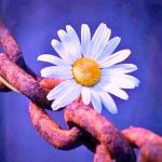 تُو مصروفِ زمانہ ہے تجھے ہم یاد کیا آئیں| دوستی پر شاعری