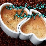 اگرچہ جس قدر ہوں غم... محبت فاتحِ عالم | محبت شاعری