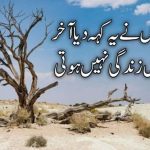 بندہ پرور کبھی نہیں ہوتی۔۔۔۔ ہم سے تو پیروی نہیں ہوتی