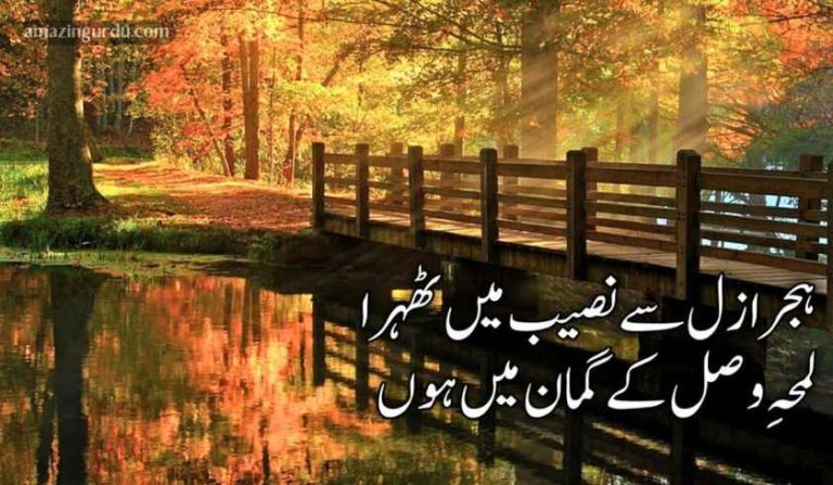 اک مسلسل سے امتحان میں ہوں | اداس شاعری