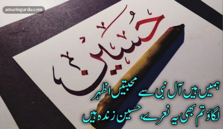 نبی کی آنکھ کے تارے حسین زندہ ہیں