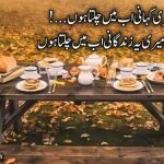 مکمل ہو گئی میری کہانی اب میں چلتا ہوں | اداس شاعری