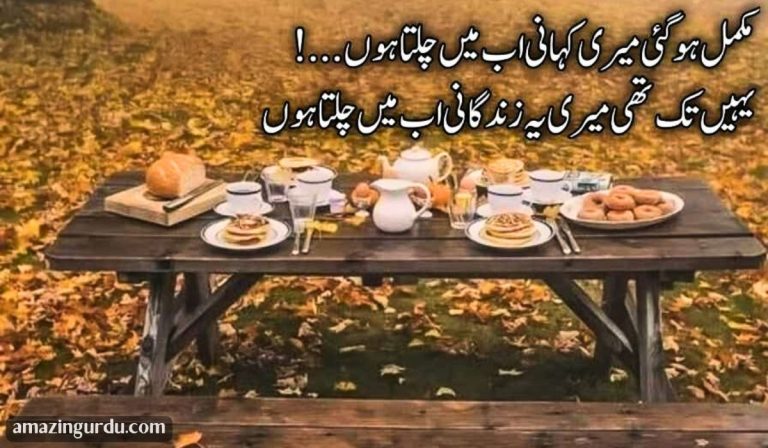 مکمل ہو گئی میری کہانی اب میں چلتا ہوں | اداس شاعری