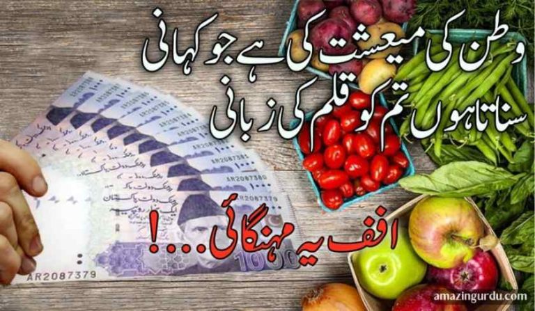 وطن کی میعشت کی ہے جو کہانی سناتا ہوں تم کو قلم کی زبانی | مزاحیہ شاعری