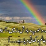 دھنک، دھوپ، بارش، زمیں، آسماں میں شہنشاہِ عالم دکھائی دیا ہے