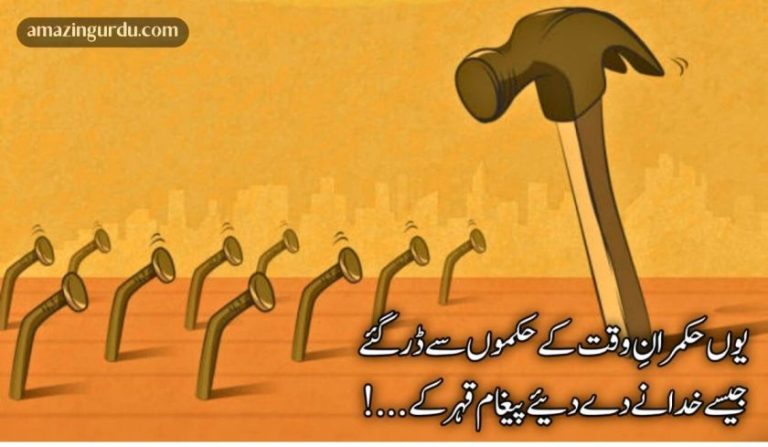 ہوتے اگر جو شیخ خرد مند شہر کے | انقلابی اشعار