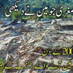 قیامت صغریٰ جو میں نے دیکھی | 8 اکتوبر 2005 کے زلزلے کی کچھ جھلکیاں