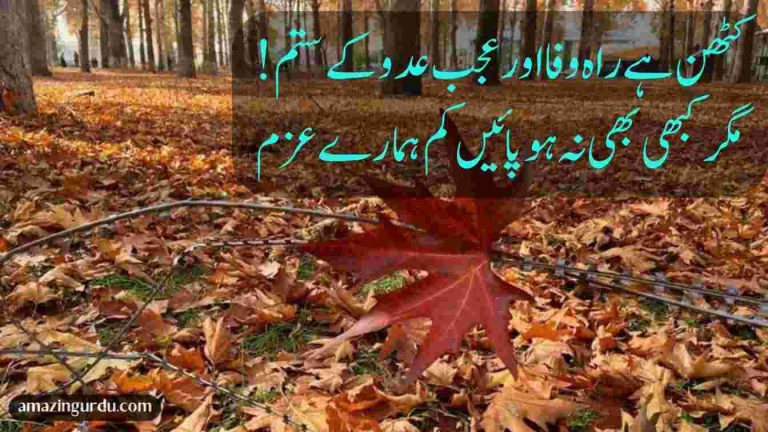کٹھن ہے راہ وفا اور عجب عدو کے ستم | جذبہ حریت پر انقلابی اشعار