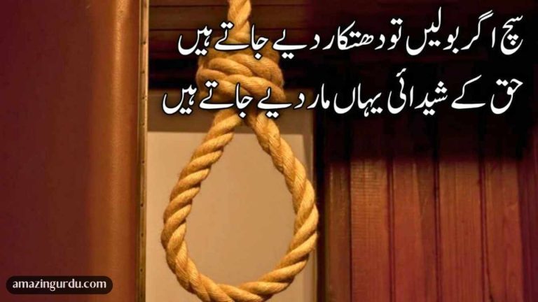 سچ اگر بولیں تو دھتکار دیے جاتے ہیں | اردو انقلابی شاعری