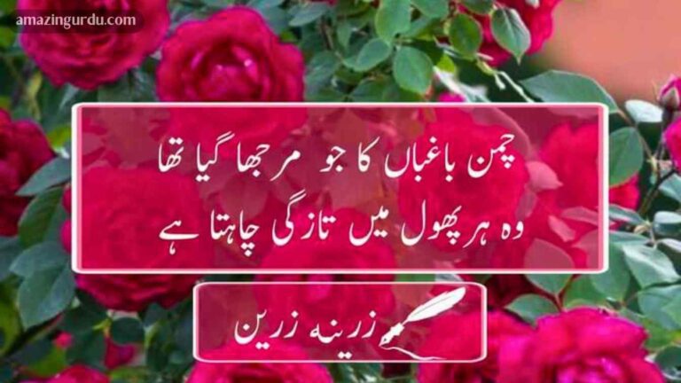 غمِ زندگی اب خوشی چاہتا ہے تعفّن میں پاکیزگی چاہتا ہے | خوبصورت اردو شاعری