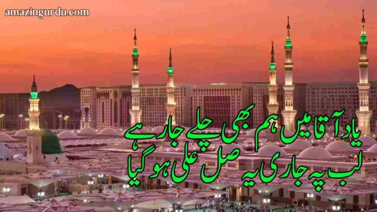 سوئے طیبہ جونہی قافلہ ہو گیا | خوبصورت نعتیہ کلام