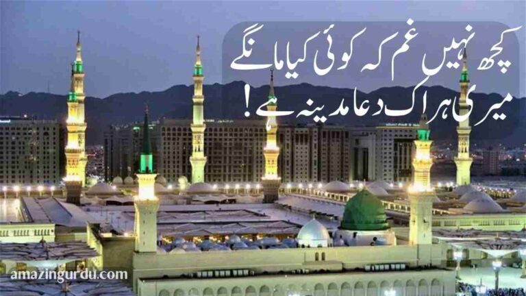 پوچھتے ہو کہ کیا مدینہ ہے ؟ دردِ دل کی دوا مدینہ ہے! نعت شریف