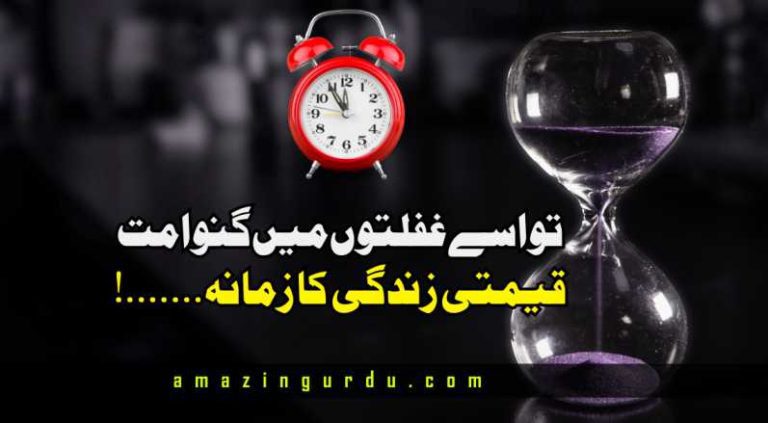 فانی دنیا سے دل نہ لگانا | خوبصورت اردو شاعری