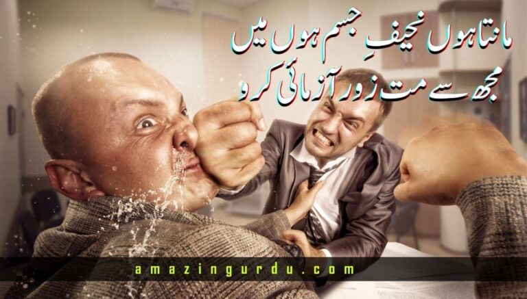 بے وفاؤں سے بے وفائی کرو | اداس اردو شاعری