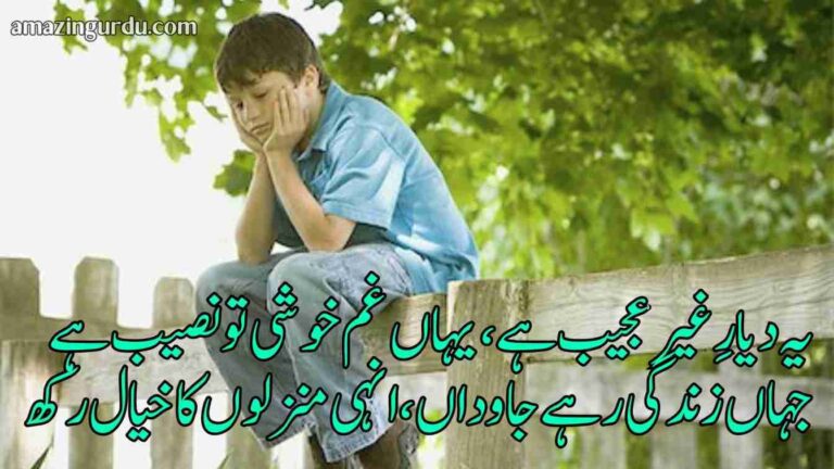 میرے ہمسفر میرے ہمنوا میری الفتوں کا خیال رکھ | التجائیہ اردو شاعری