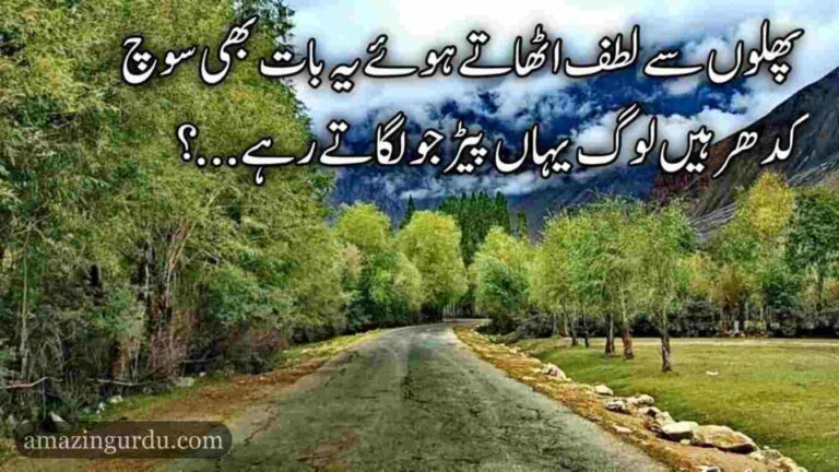 کس احتیاط سے پھر آئینے سجاتے رہے | طویل اردو غزل