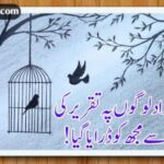 خار کو پھول کہہ کر دکھایا گیا رات کو بھی یہاں دن بلایا گیا| اداس اردو شاعری