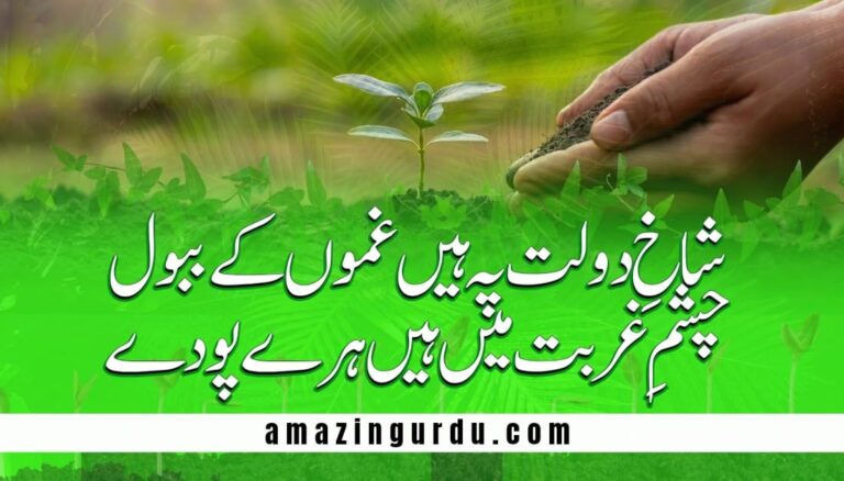 سہمے سہمے ڈرے ڈرے پودے | پودے پر شاعری