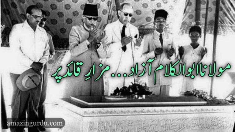 مولانا ابوالکلام آزاد قیام پاکستان کے مخلاف اور بھارتی مسلمانوں کے امام الہند