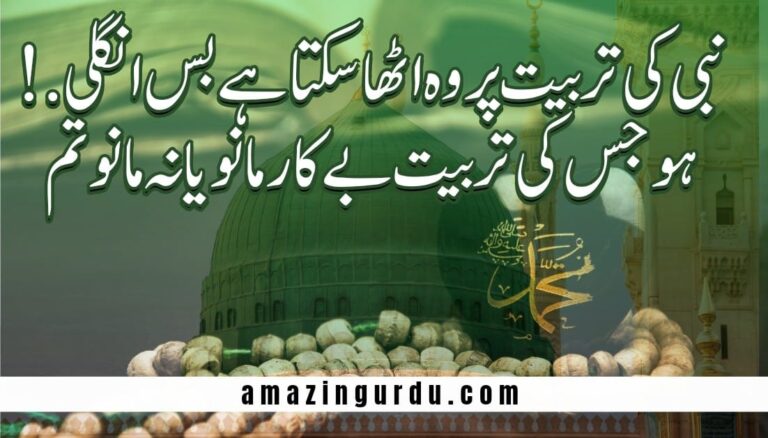 صحابہ حق کے ہیں معیار مانو یا نہ مانو تم | صحابہ کرام پر اشعار