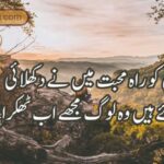 میرے عکس پہ مرتے ہیں کچھ دیوانے |اردو شاعری