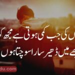 تُو یہ مت سوچ کیسا سوچتا ہوں|سوچ پر اشعار