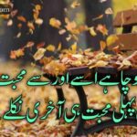 منافقت نہ دکھاۓ ،خوشی خوشی نکلے | منافقت پر اردو شاعری