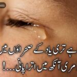 اپنی آنکھوں سے پلاتے ہیں وہ ایسا | پانی پر ٖاردو شاعری