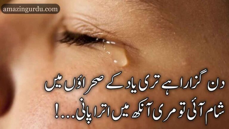 اپنی آنکھوں سے پلاتے ہیں وہ ایسا | پانی پر ٖاردو شاعری