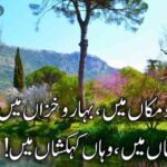 اِدھر بھی خدا ہے، اُدھر بھی خدا ہے | حمدیہ اشعار اردو