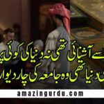 زباں پر قَالَ قَالَ اللّٰهُ کا جب ورد تھا جاری | جامعہ کی یاد میں لکھے گئے اشعار