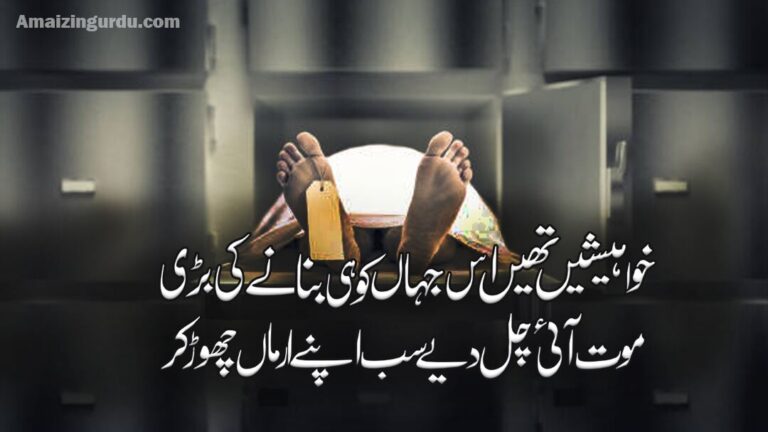 فانی دنیا سے چلے ہیں سارے انساں چھوڑ کر|فانی دنیا پر اشعار