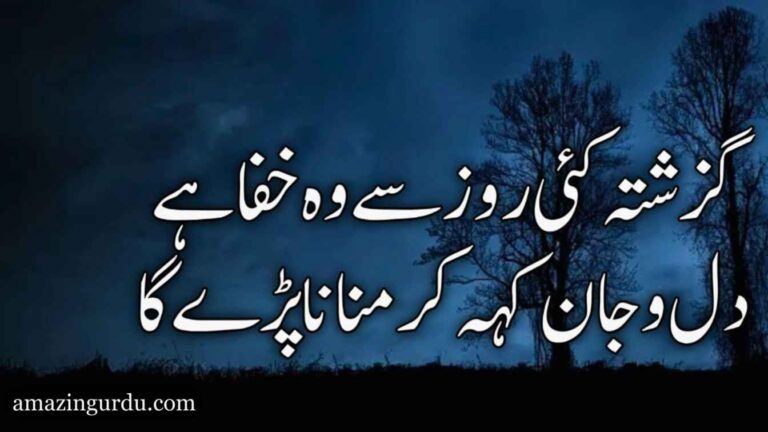 مجھے خون کچھ اور بہانا پڑے گا مجھے پھر سے، مطلب نہانا پڑے گا | اردو شاعری