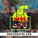 76 سالہ امام دین کے ووٹ کی طاقت