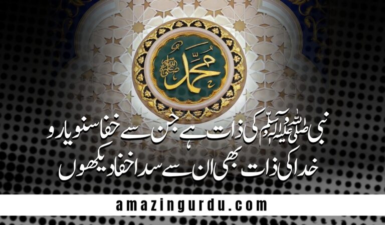 نبی ﷺ کے شہر کا منظر میں با رہا دیکھوں