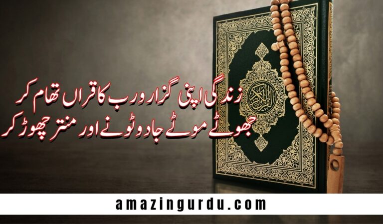 سارے انساں جا رہے ہیں عارضی گھر چھوڑ کر
