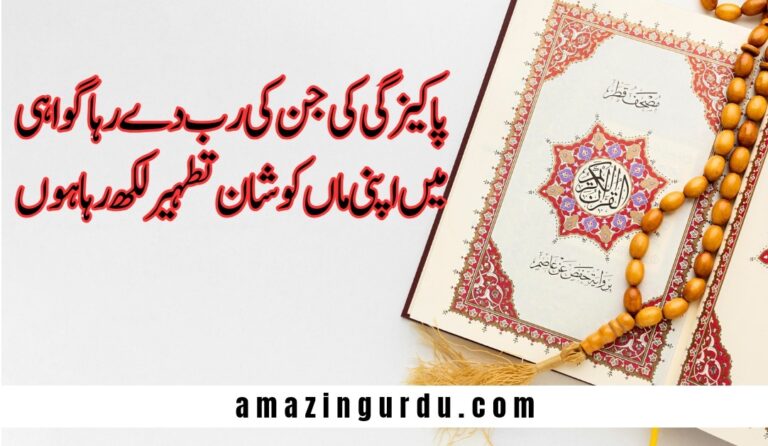 میں امی عائشہ کی توقیر لکھ رہا ہوں