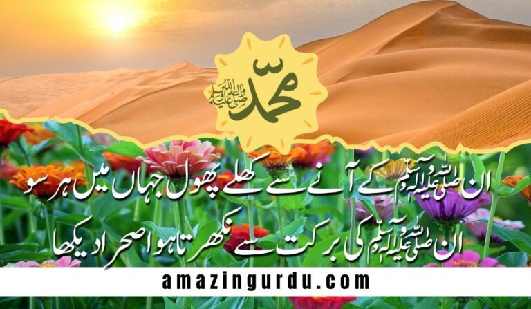 ہم نے قران میں آقا کا سراپا دیکھا