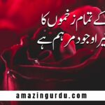 ہر طرف بے بسی کا عالم ہے